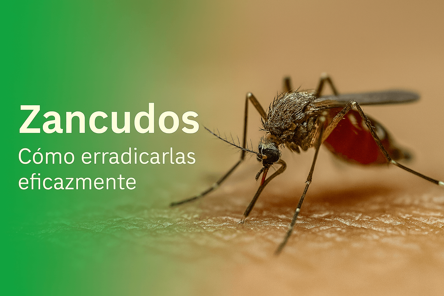 Control de zancudos